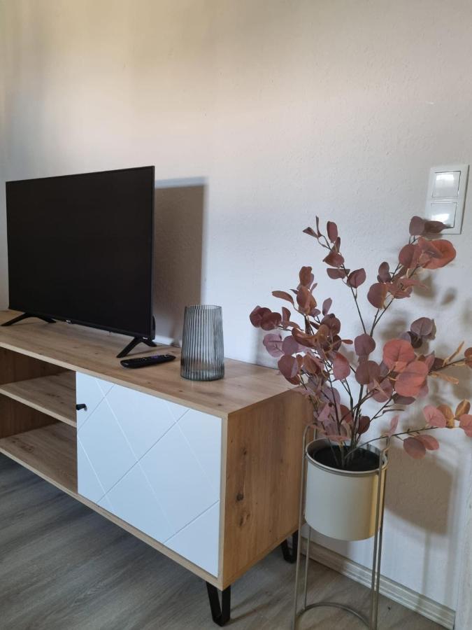 Modern Eingerichtet-Stadtnah-Ferienwohnung Mit Geschirrspueler Und Waschmaschine Friedland  المظهر الخارجي الصورة